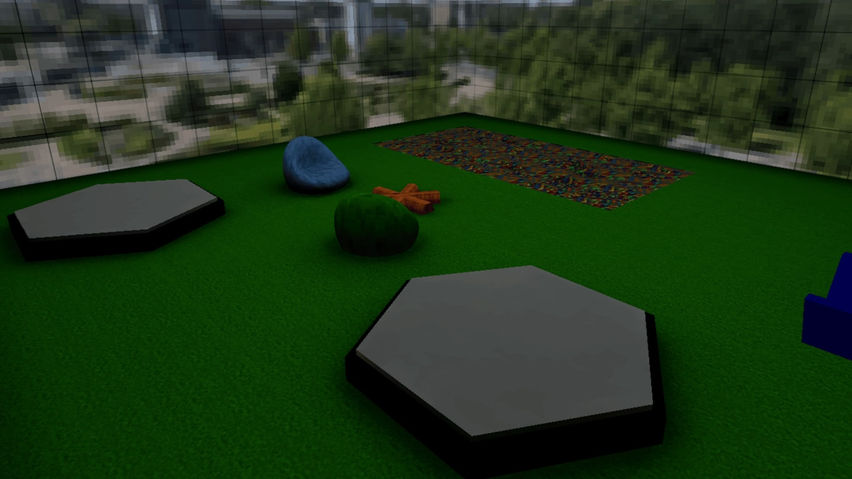 Primate Playground VR