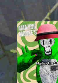 Amazing Monke's