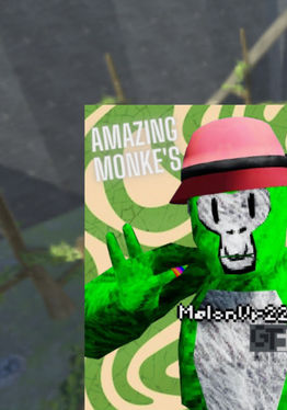 Amazing Monke's