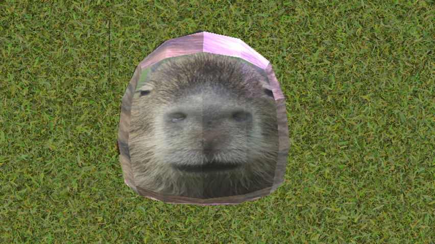 Capybara Space (DISCONTINUED)