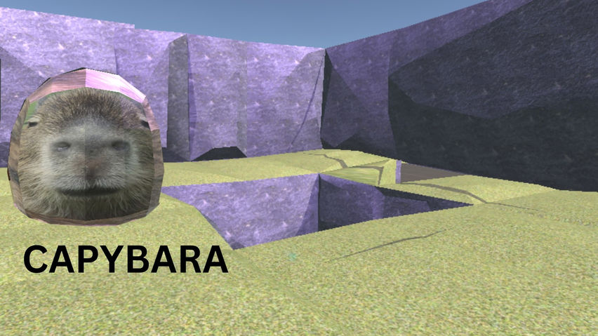 Capybara Space (DISCONTINUED)
