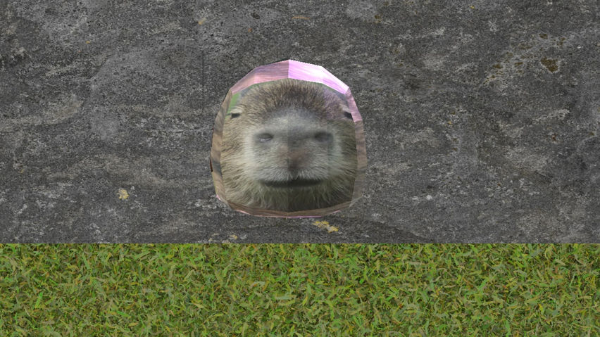 Capybara Space (DISCONTINUED)