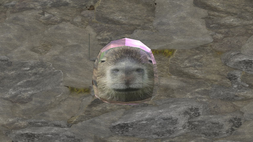 Capybara Space (DISCONTINUED)