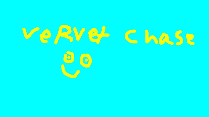 Vervet Chase