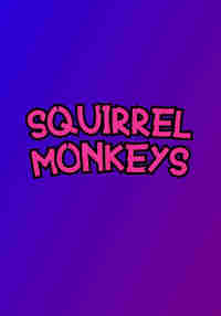 Squirrel Monkeys