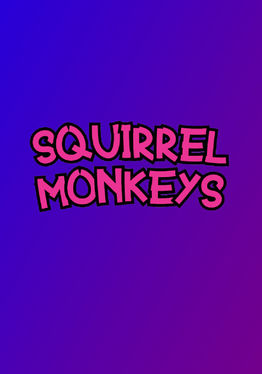 Squirrel Monkeys