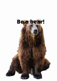 Bear Chasers