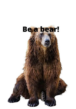 Bear Chasers