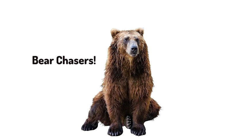 Bear Chasers