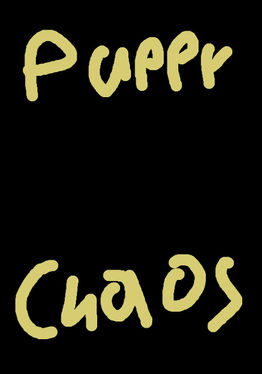 Puppy Chaos