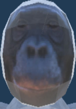 Bonobo runners