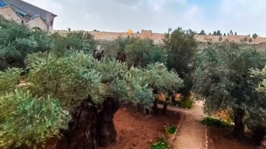 Holy Land Tours - Jerusalem