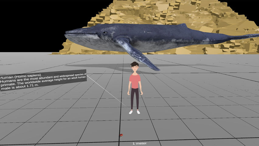 Universe Size Comparison