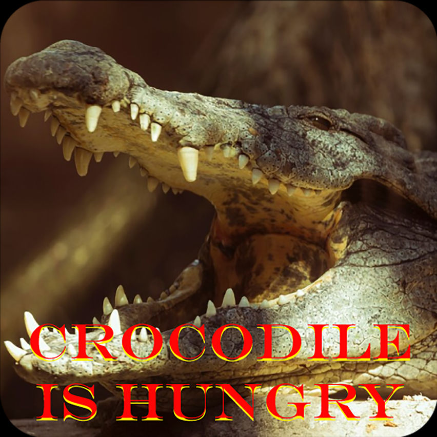 Crocodile is hungry