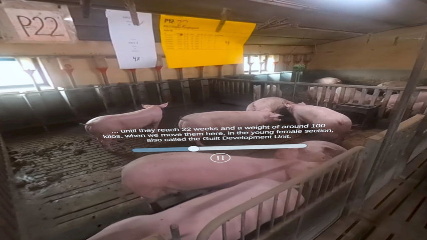360 tour of Lyngbogaard