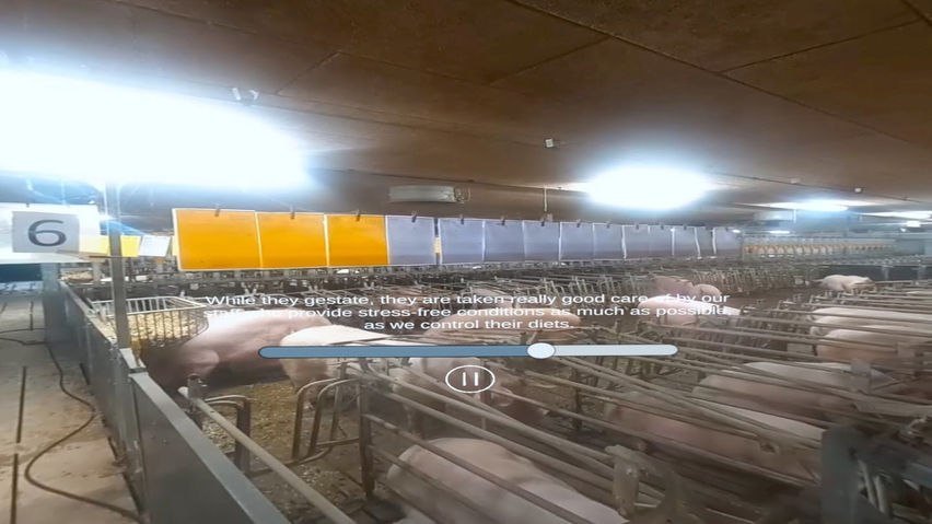 360 tour of Lyngbogaard