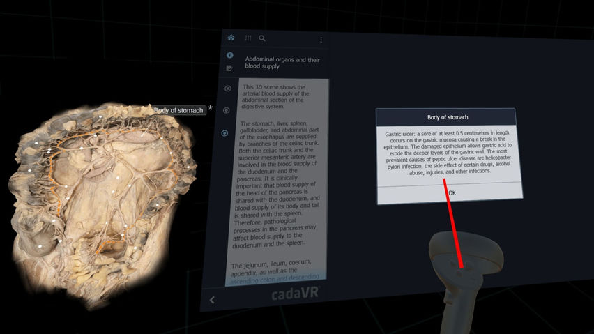 cadaVR anatomy