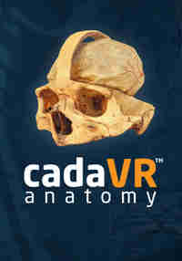 cadaVR anatomy