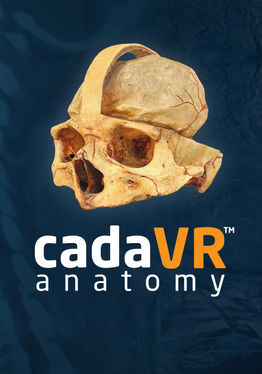 cadaVR anatomy