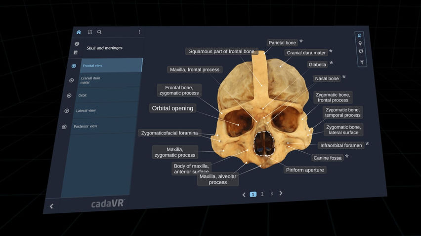 cadaVR anatomy