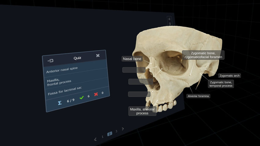 cadaVR anatomy