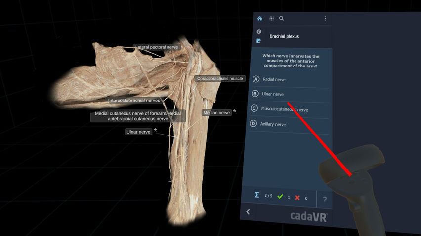 cadaVR anatomy