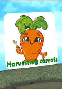 Harvesting carrot