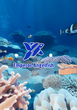 Emperor Angelfish