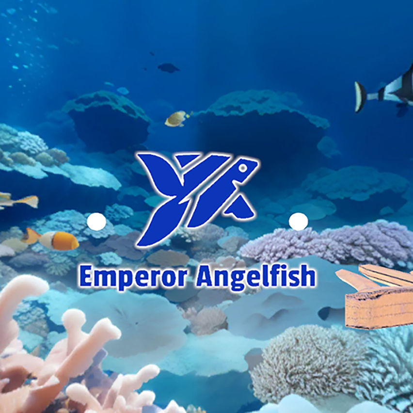 Emperor Angelfish
