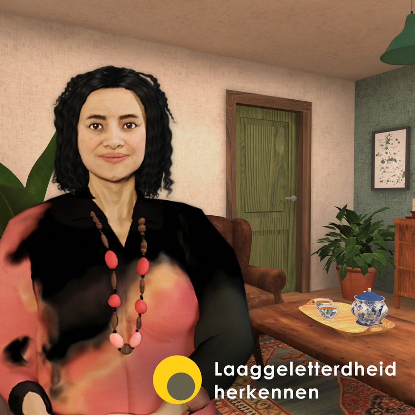 Laaggeletterdheid 2.0
