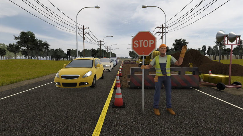 BSD XR Flagger VR