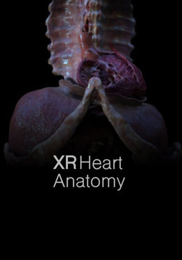 XR Heart Anatomy