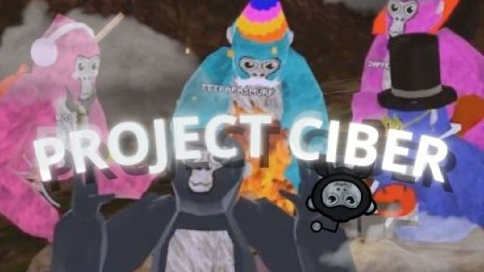 Project Ciber