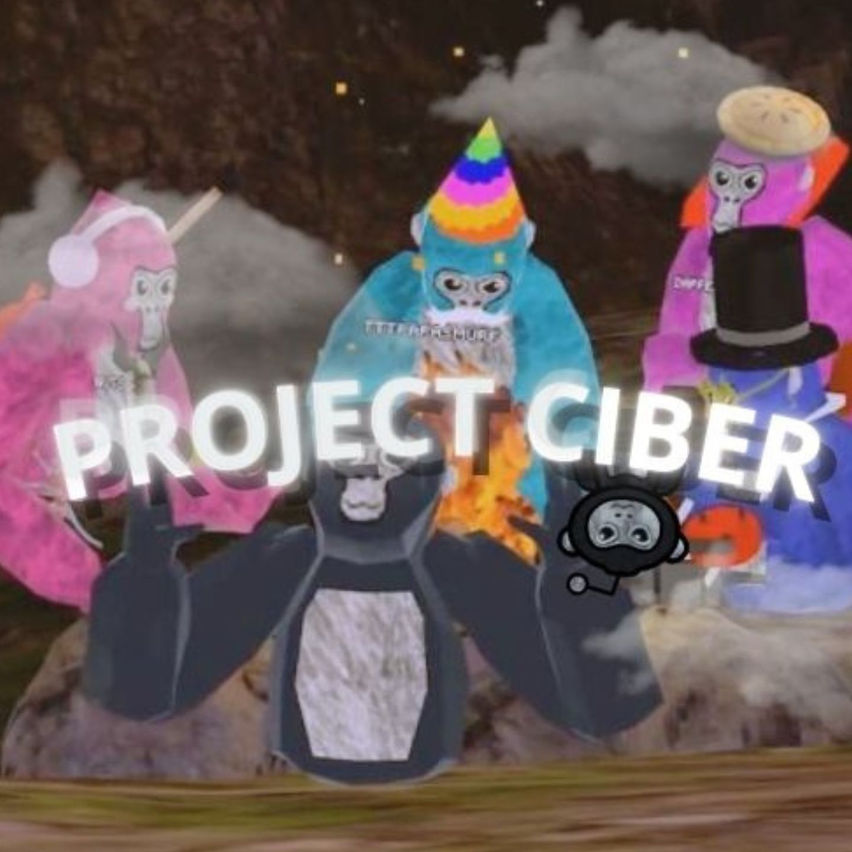 Project Ciber