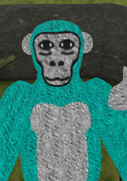 Chimp Taggers