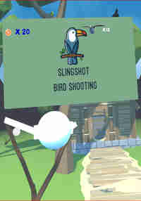 Slingshot Bird Shooting