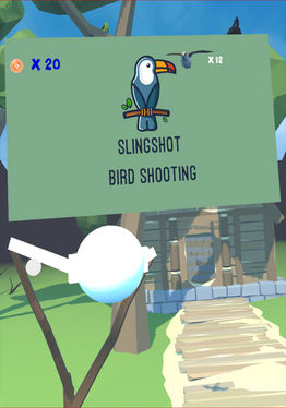 Slingshot Bird Shooting