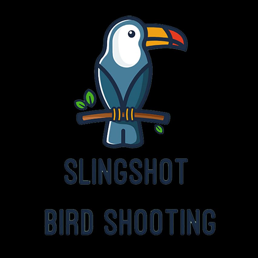Slingshot Bird Shooting