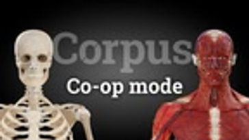 Co-op mode