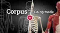 Corpus Anatomy + Co-op Mode
