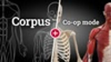 Corpus Anatomy + Co-op Mode