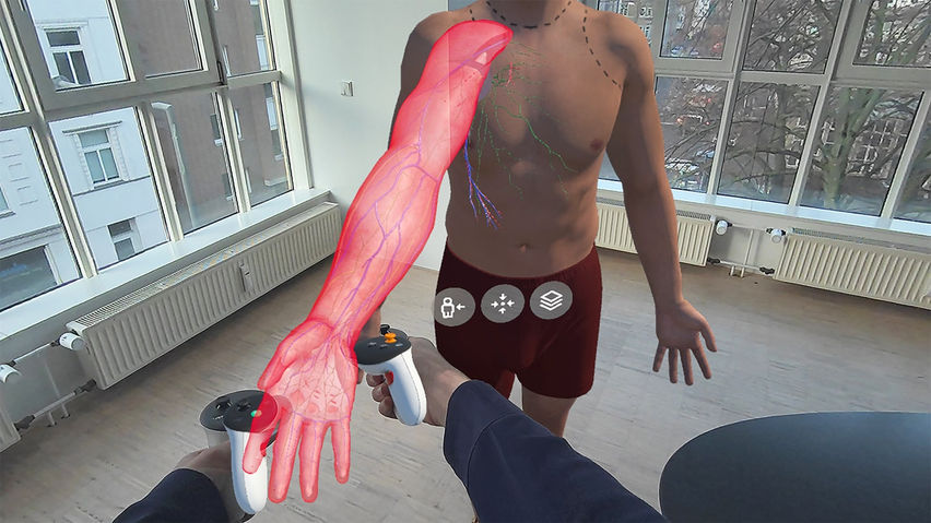Corpus | Anatomy