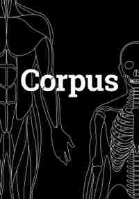 Corpus | Anatomy