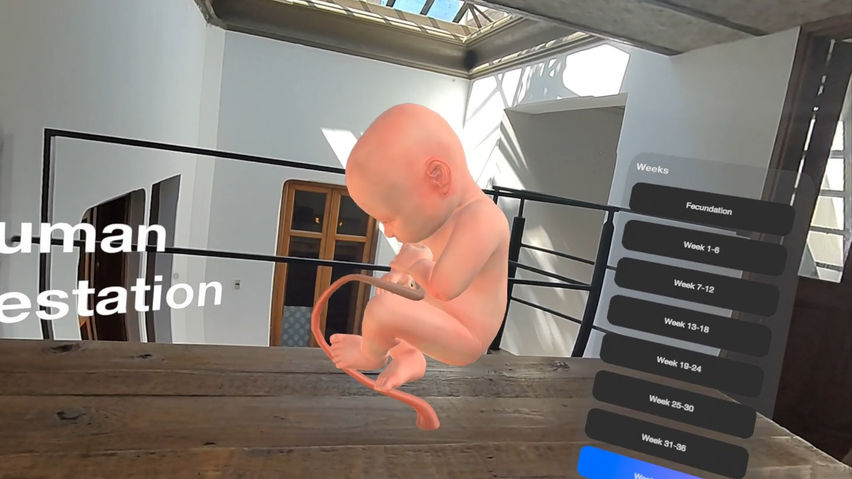 Inviewer