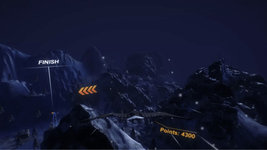 VR Flying Eagle