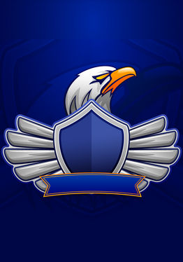 VR Flying Eagle