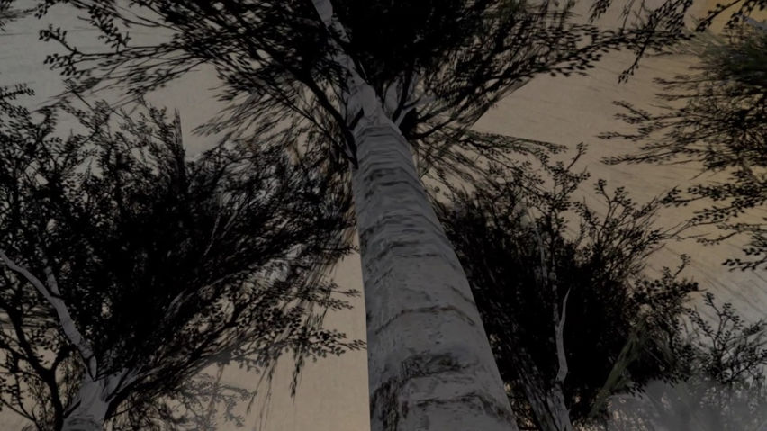 DreaMR: S. Rachmaninoff Preludes Op. 32 N1- 5 and N10 Mixed Reality (MR) scenes
