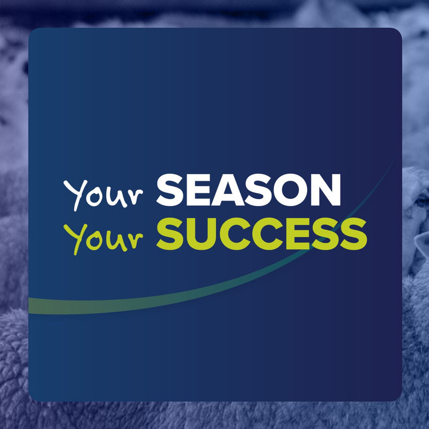 Your Season Your Success