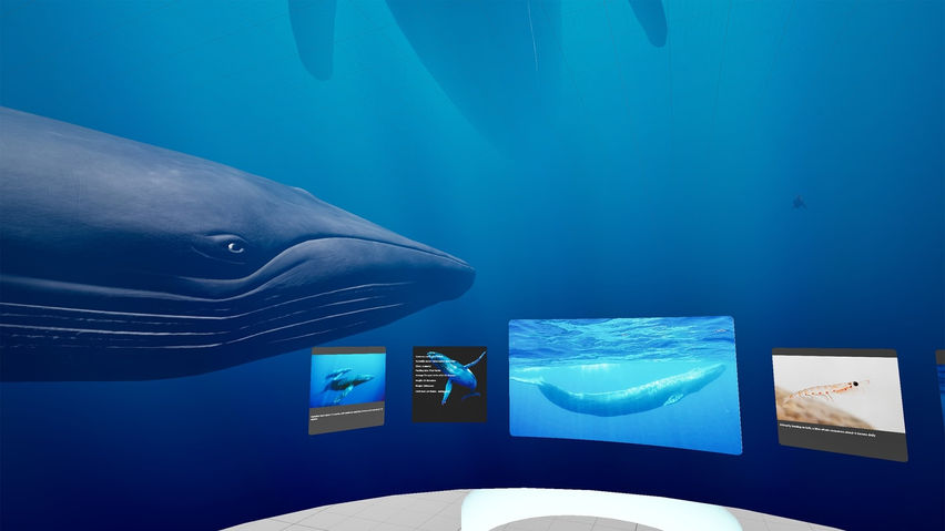 Giant Animals