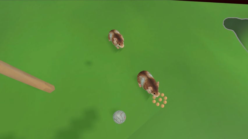 Protect chicken eggs